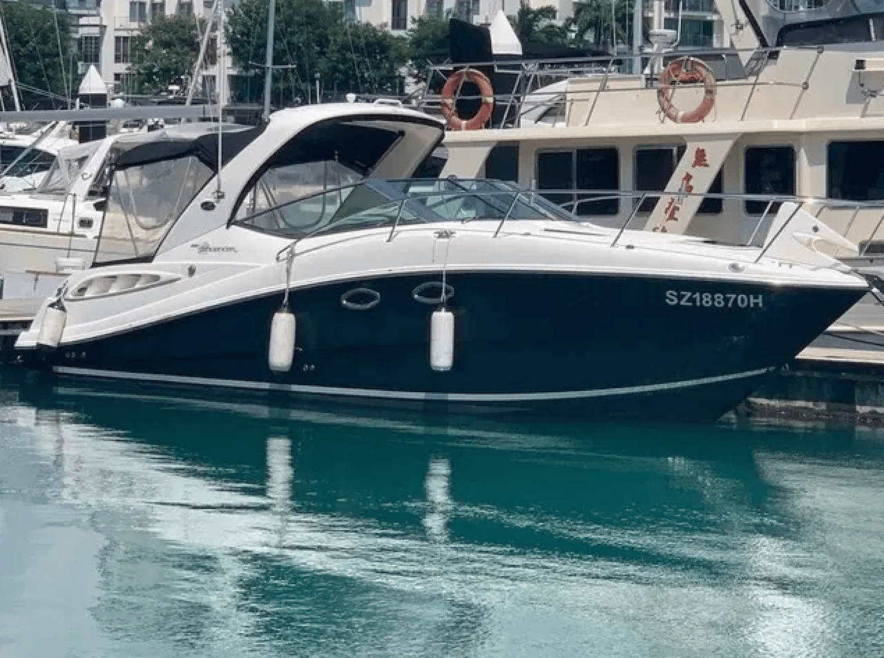 The Sea Ray 290 Sundancer balances comfort and performance with ease