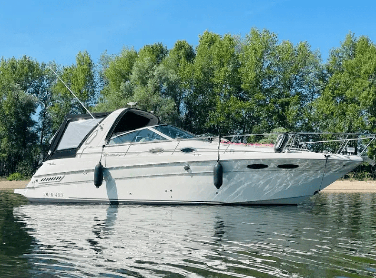 Sea Ray 290 performance