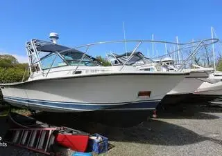 Carver Santa Cruz 2667 for sale Rightboat