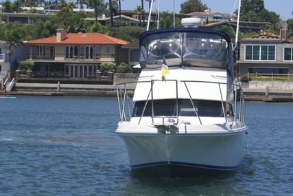 Skipjack 262 Flybridge