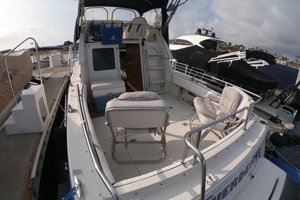 Skipjack 262 Flybridge