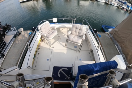 Skipjack 262 Flybridge