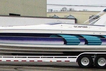 Scarab Thunder 43