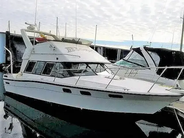 Bayliner 2858 Contessa Command Bridge