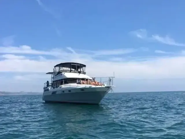 Bayliner 4387 Motoryacht