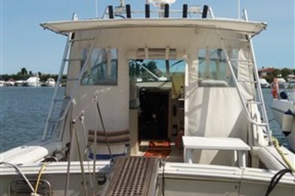 Boston Whaler 31 Express