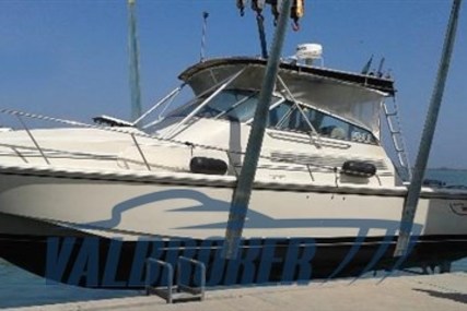 Boston Whaler 31 Express