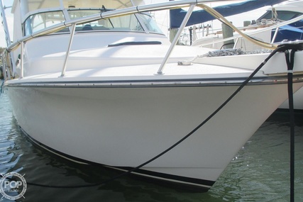 Henriques 28 Sportfisher