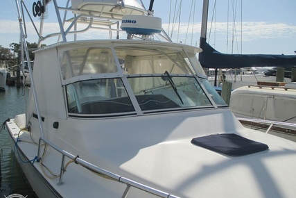 Henriques 28 Sportfisher