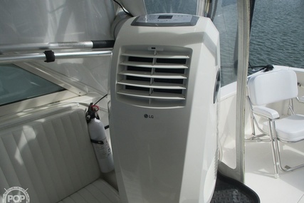 Henriques 28 Sportfisher