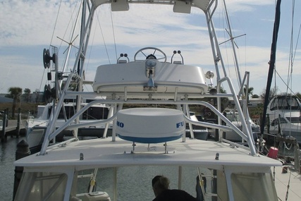 Henriques 28 Sportfisher