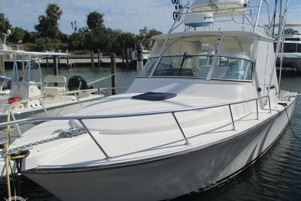 Henriques 28 Sportfisher