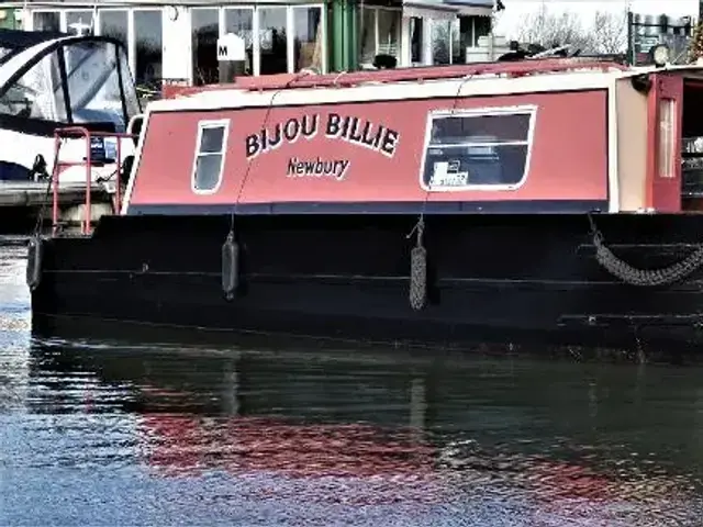 Narrowboat Springer 23 Water Bug