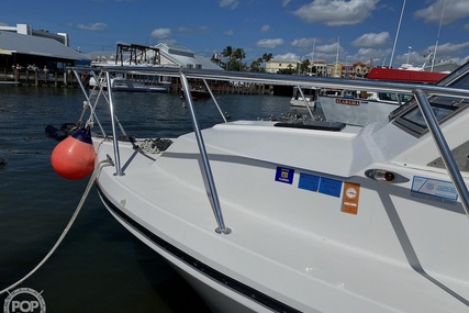 Sea Hawk Marine 36