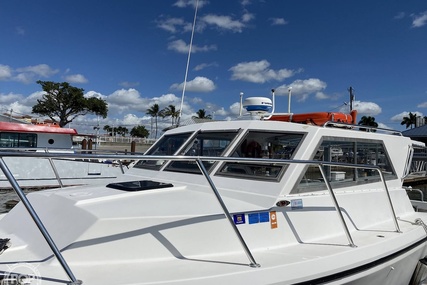 Sea Hawk Marine 36