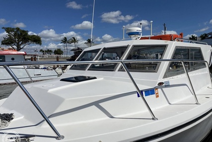 Sea Hawk Marine 36