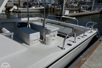 Sea Hawk Marine 36