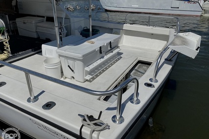 Sea Hawk Marine 36