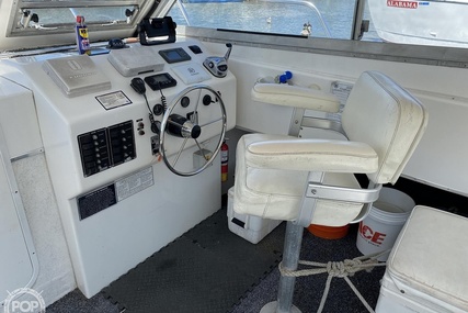 Sea Hawk Marine 36