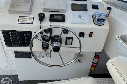 Sea Hawk Marine 36