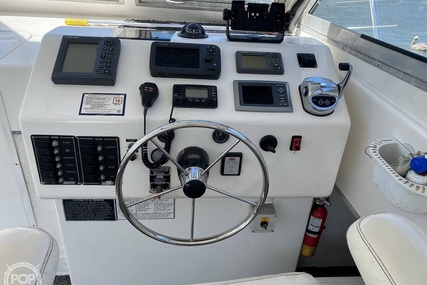 Sea Hawk Marine 36