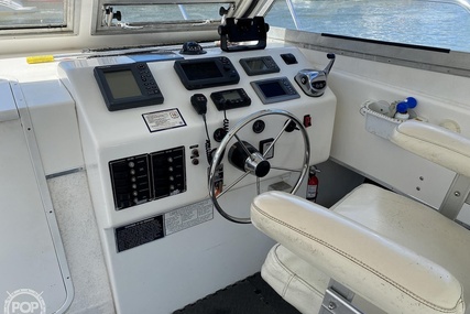 Sea Hawk Marine 36