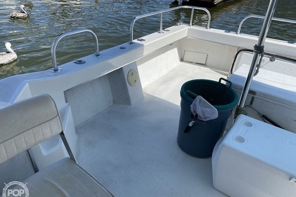 Sea Hawk Marine 36