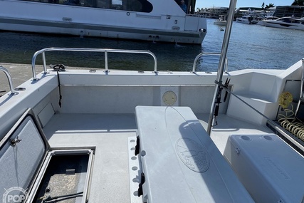 Sea Hawk Marine 36