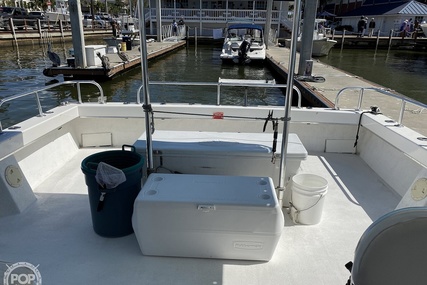 Sea Hawk Marine 36