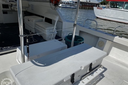 Sea Hawk Marine 36