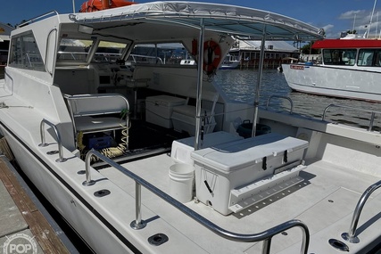 Sea Hawk Marine 36