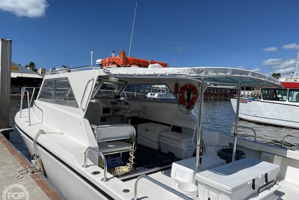 Sea Hawk Marine 36