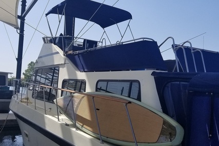 Bluewater 45