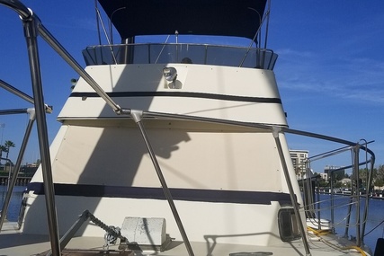 Bluewater 45