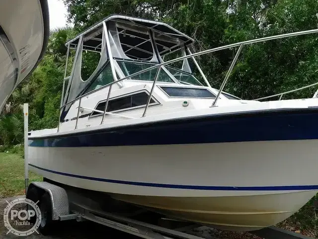 Wellcraft 248 Sportsman