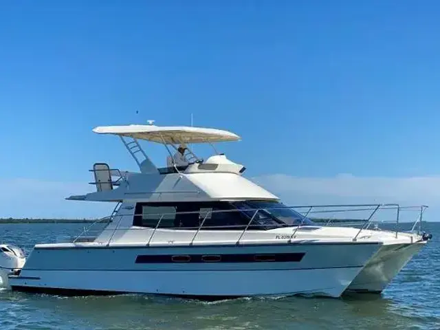 Arrowcat 420 Flybridge