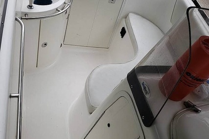 Cobia 312 Sport Cabin