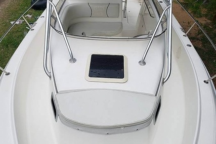 Cobia 312 Sport Cabin