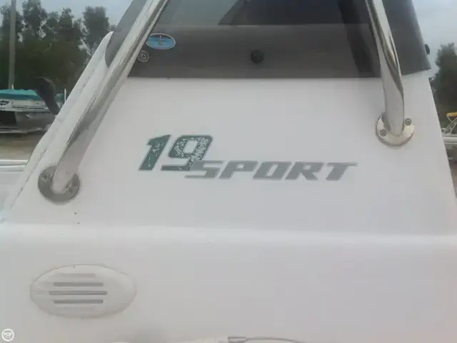 Pro Line 19 Sport