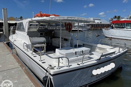 Sea Hawk Marine 36