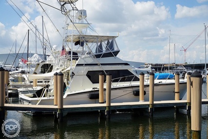 Hatteras 48 Convertible