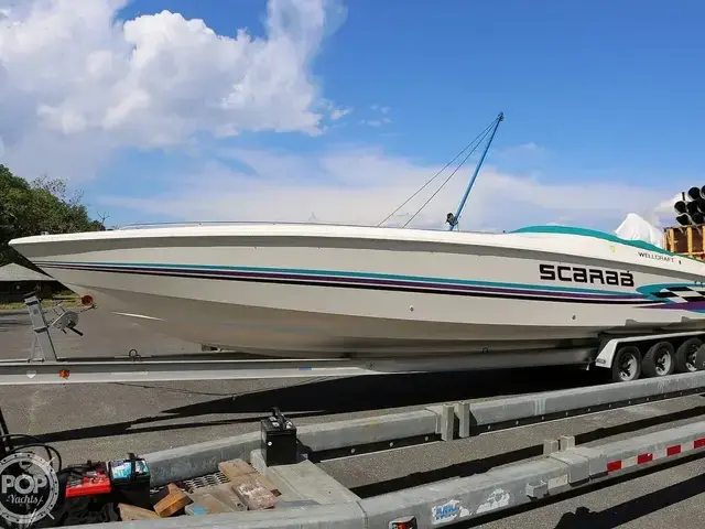 Scarab 38