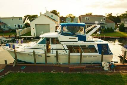 Bayliner 4550 Pilothouse Motoryacht