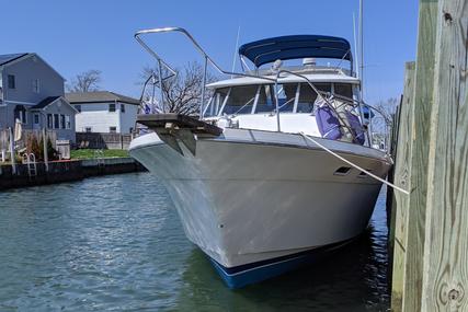 Bayliner 4550 Pilothouse Motoryacht