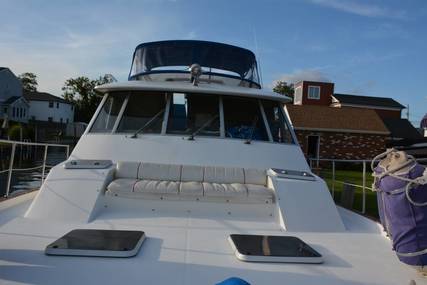 Bayliner 4550 Pilothouse Motoryacht