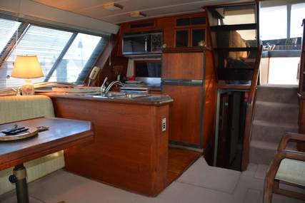 Bayliner 4550 Pilothouse Motoryacht