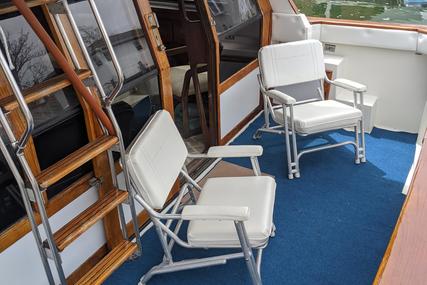 Bayliner 4550 Pilothouse Motoryacht