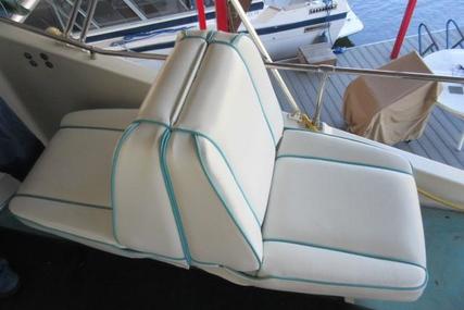 Tollycraft 34 Flybridge Sedan