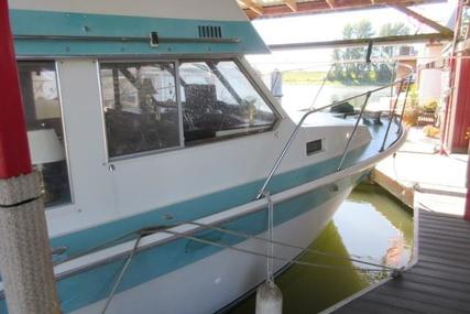 Tollycraft 34 Flybridge Sedan