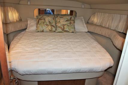 Sea Ray 380 Aft Cabin